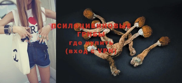 PSILOCYBIN Балабаново