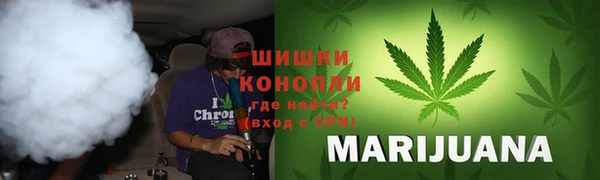 PSILOCYBIN Балабаново