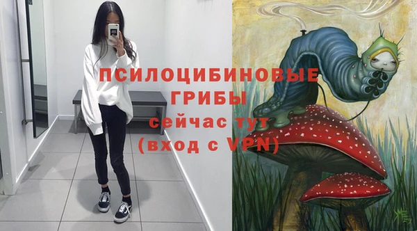 PSILOCYBIN Балабаново