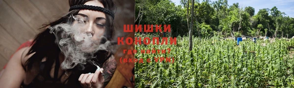 PSILOCYBIN Балабаново