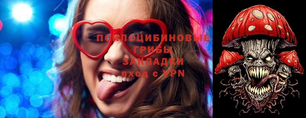 гидропоника Баксан