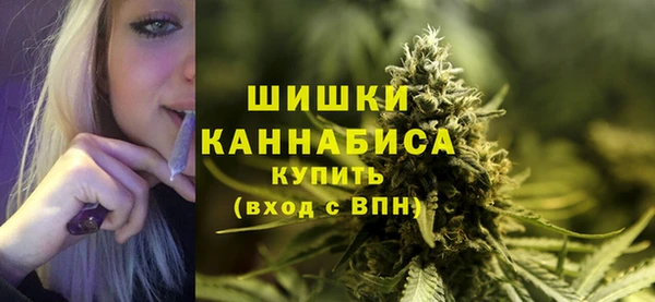 PSILOCYBIN Балабаново