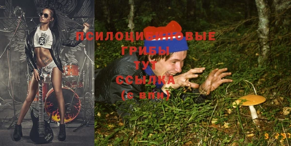 spice Балахна
