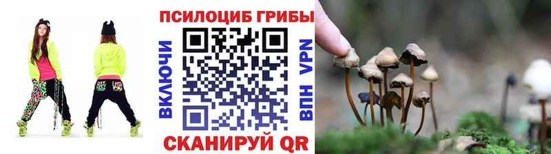 мега как зайти  Усть-Джегута  Псилоцибиновые грибы прущие грибы 