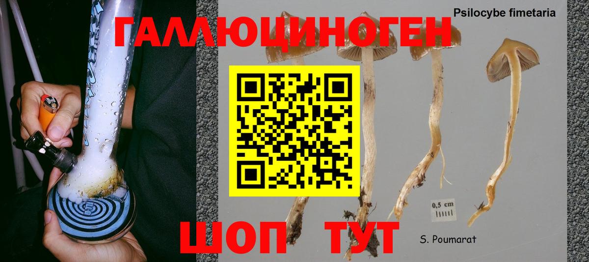 Галлюциногенные грибы GOLDEN TEACHER Усть-Джегута