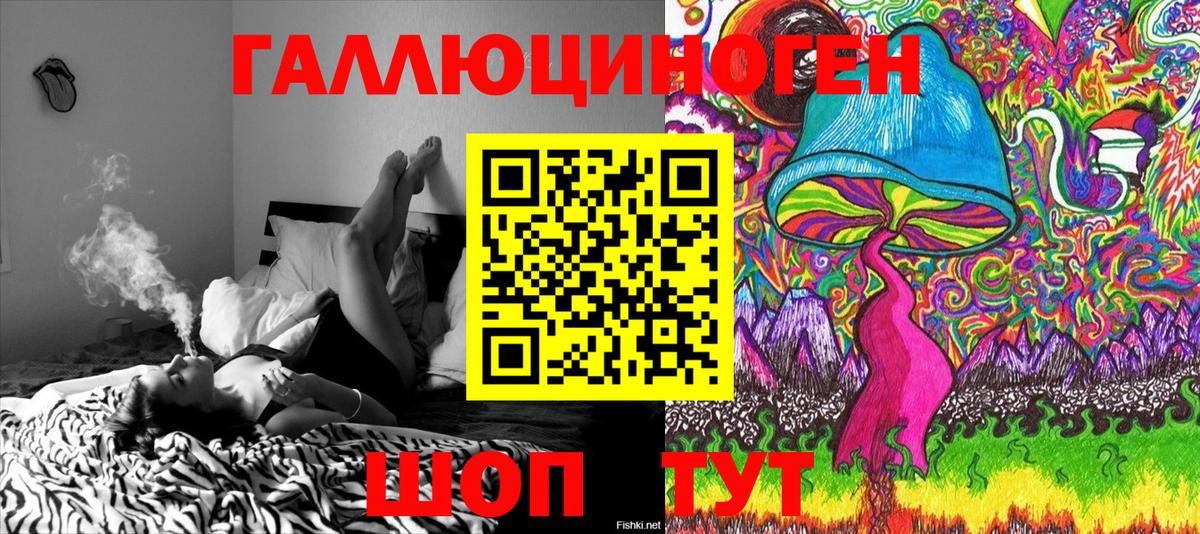 Усть-Джегута  Псилоцибиновые грибы Cubensis  Вход с VPN 